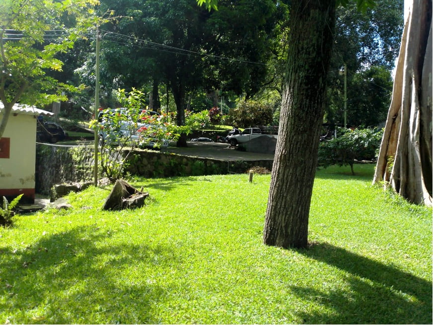 quinta 1 quinta los pinos